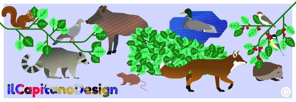 IlCapitanoDesign