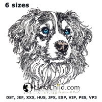 NEU Stickdatei Kooiker Cash LIGHT realistisch