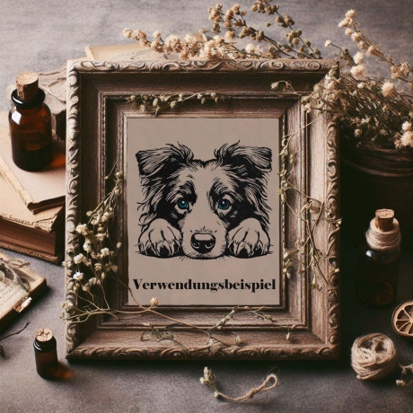 NEU Stickdatei Border Collie Vera Hund realistisch