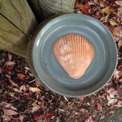 Keramik - Duftmuschel-Teller; 2-tlg.