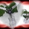 wow micro - O - string, ein Hauch von nix, Intimschmuck
