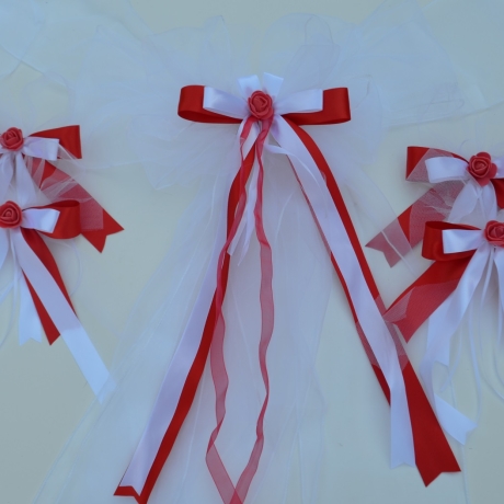 Hochzeit - Brautauto - 5 Teile - Autoschleife - Schleifenset