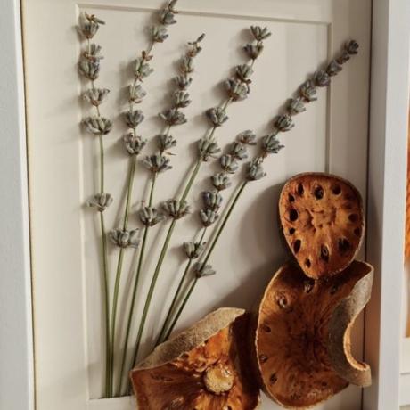 Bilderrahmen mit dekorierten Pampasgras Trockenblumen 3èr Set