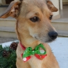  Hundefliege, Weihnachts schleife,,Halsband, 2 Weihnachtsmotive