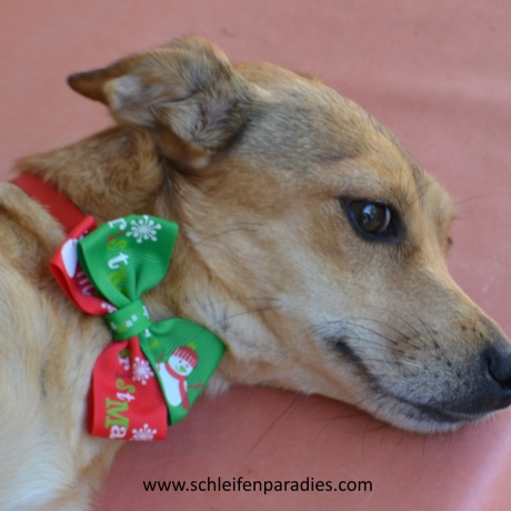  Hundefliege, Weihnachts schleife,,Halsband, 2 Weihnachtsmotive