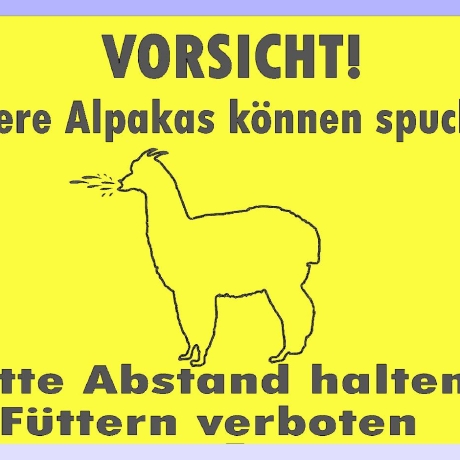 Alpakaschild  Alpaka spuckt No. 2 - 20x30 cm - Gravurschild