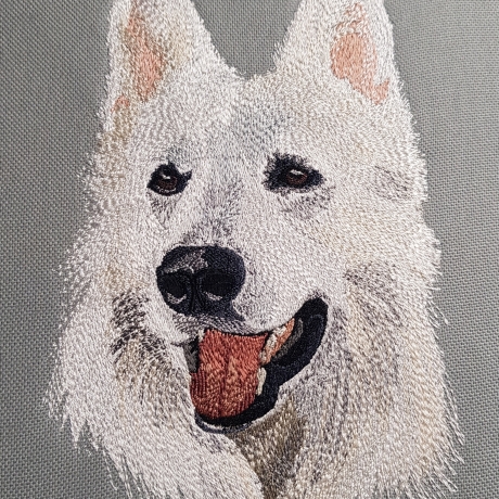 Ranon - Weißer Schweizer Schäferhund - Vollstick - 13x18