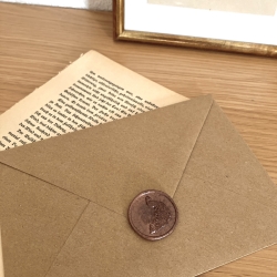 3 Wachssiegel Briefsiegel • Pfau • savanne dunkel