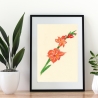 Gladiole Handgezeichnete Buntstiftzeichnung Original