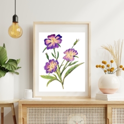 Wiesen Storchschnabel Buntstiftzeichnung Original Handgezeichnet