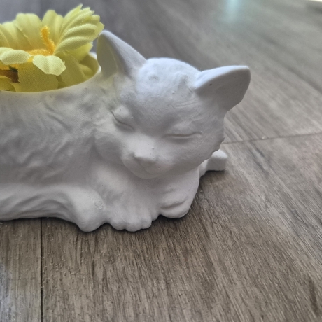 Vase Kätzchen liegend