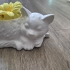 Vase Kätzchen liegend