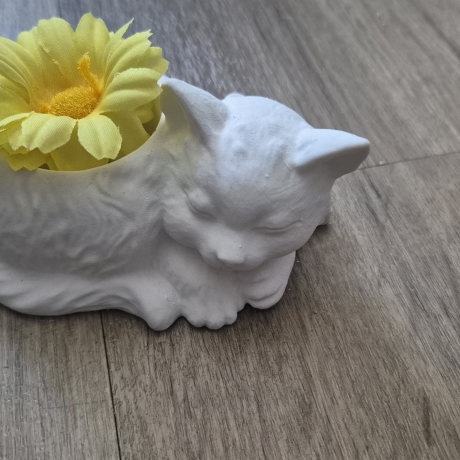 Vase Kätzchen liegend