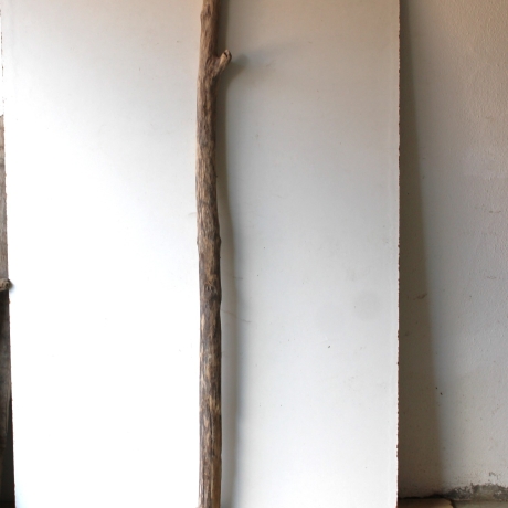 Treibholz Schwemmholz Driftwood 1 MEGA  Ast  Garderobe 152 cm 