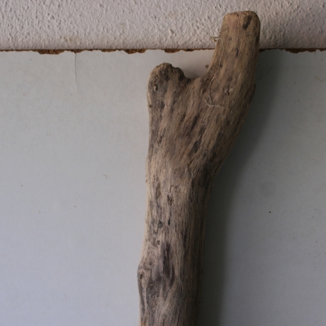 Treibholz Schwemmholz Driftwood 1 MEGA  Ast  Garderobe 152 cm 