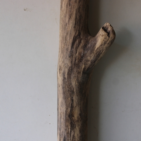 Treibholz Schwemmholz Driftwood 1 MEGA  Ast  Garderobe 152 cm 