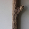 Treibholz Schwemmholz Driftwood 1 MEGA  Ast  Garderobe 152 cm 