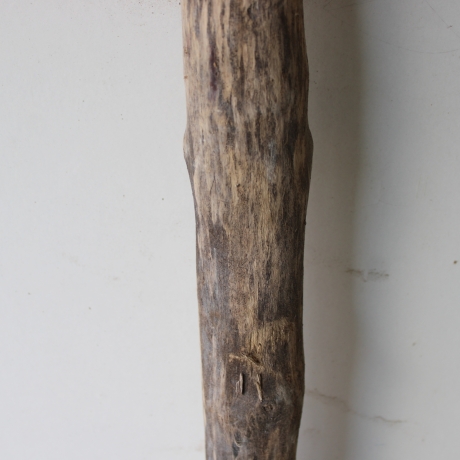 Treibholz Schwemmholz Driftwood 1 MEGA  Ast  Garderobe 152 cm 