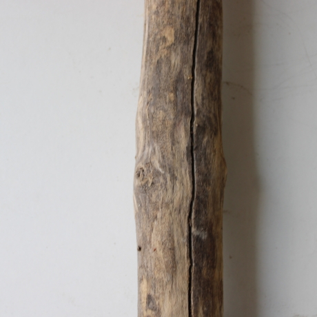 Treibholz Schwemmholz Driftwood 1 MEGA  Ast  Garderobe 152 cm 