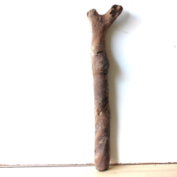 Treibholz Schwemmholz Driftwood 1  Stamm  Terrarium 68 cm 