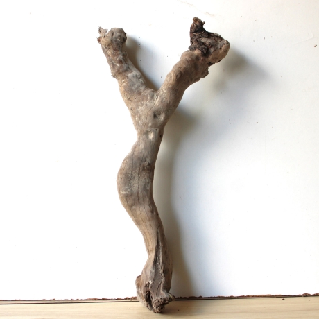 Treibholz Schwemmholz Driftwood 1 XL Wurzel  Terrarium 56 cm 