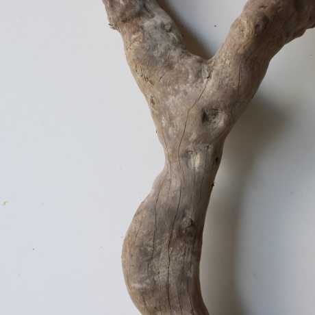 Treibholz Schwemmholz Driftwood 1 XL Wurzel  Terrarium 56 cm 