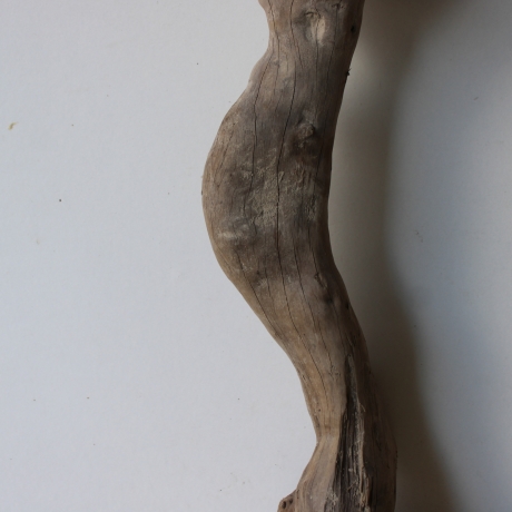 Treibholz Schwemmholz Driftwood 1 XL Wurzel  Terrarium 56 cm 