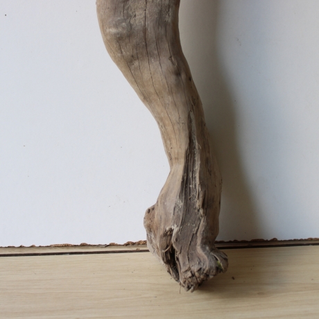 Treibholz Schwemmholz Driftwood 1 XL Wurzel  Terrarium 56 cm 