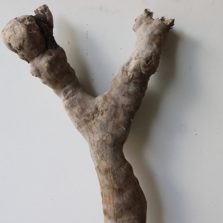 Treibholz Schwemmholz Driftwood 1 XL Wurzel  Terrarium 56 cm 