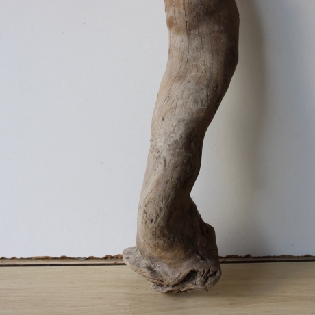 Treibholz Schwemmholz Driftwood 1 XL Wurzel  Terrarium 56 cm 