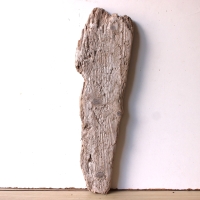 Treibholz Schwemmholz Driftwood  1  Brett Regal  50 cm  