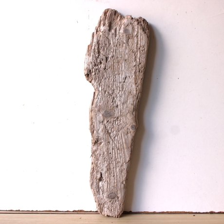 Treibholz Schwemmholz Driftwood  1  Brett Regal  50 cm  