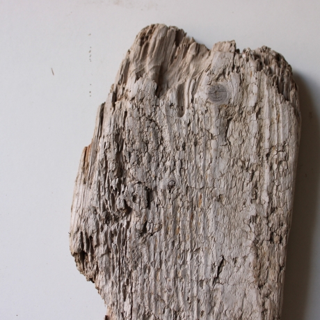 Treibholz Schwemmholz Driftwood  1  Brett Regal  50 cm  