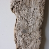 Treibholz Schwemmholz Driftwood  1  Brett Regal  50 cm  