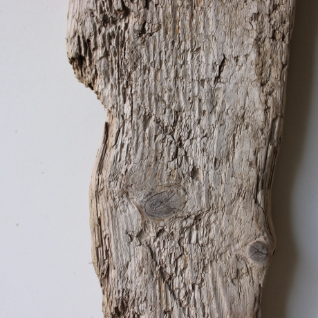 Treibholz Schwemmholz Driftwood  1  Brett Regal  50 cm  