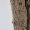 Treibholz Schwemmholz Driftwood  1  Brett Regal  50 cm  
