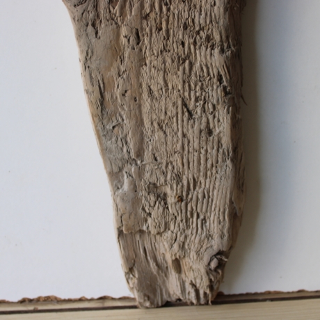 Treibholz Schwemmholz Driftwood  1  Brett Regal  50 cm  