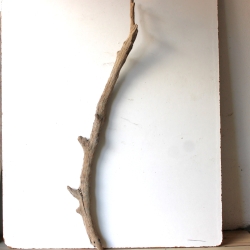 Treibholz Schwemmholz Driftwood 1 XXL  Ast  Garderobe 114 cm 