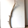 Treibholz Schwemmholz Driftwood 1 XXL  Ast  Garderobe 114 cm 