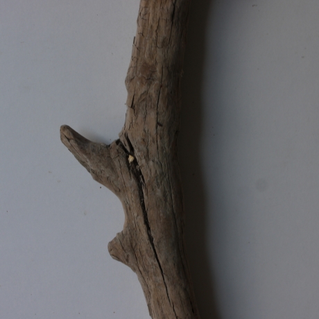 Treibholz Schwemmholz Driftwood 1 XXL  Ast  Garderobe 114 cm 