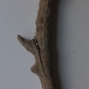 Treibholz Schwemmholz Driftwood 1 XXL  Ast  Garderobe 114 cm 