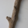 Treibholz Schwemmholz Driftwood 1 XXL  Ast  Garderobe 114 cm 