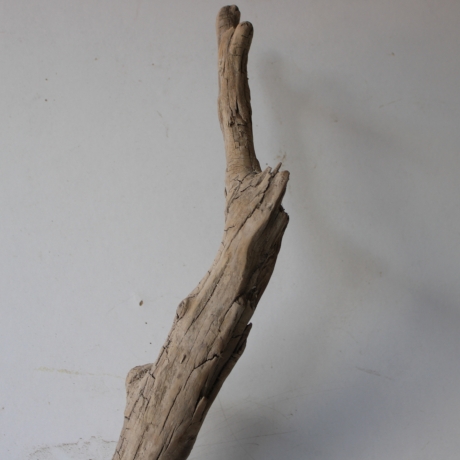Treibholz Schwemmholz Driftwood 1 XXL  Ast  Garderobe 114 cm 