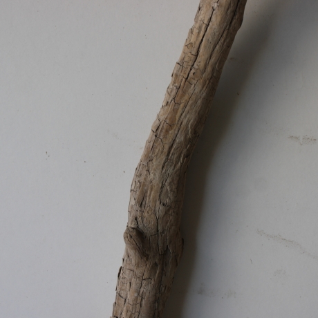 Treibholz Schwemmholz Driftwood 1 XXL  Ast  Garderobe 114 cm 