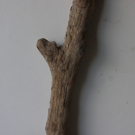 Treibholz Schwemmholz Driftwood 1 XXL  Ast  Garderobe 114 cm 