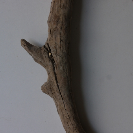 Treibholz Schwemmholz Driftwood 1 XXL  Ast  Garderobe 114 cm 