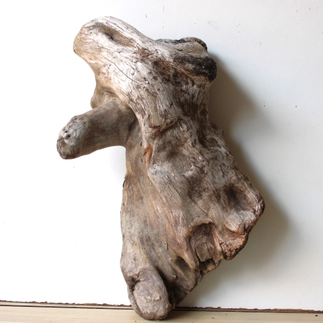 Treibholz Schwemmholz Driftwood 1 XL  Skulptur  48 cm 