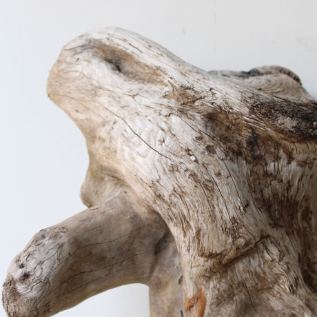 Treibholz Schwemmholz Driftwood 1 XL  Skulptur  48 cm 