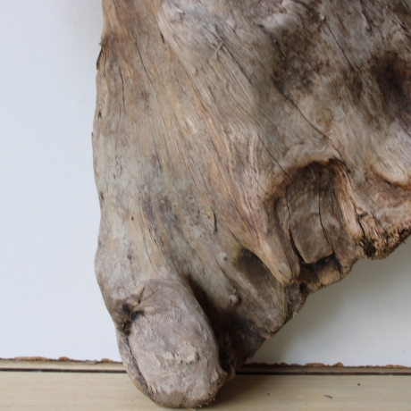 Treibholz Schwemmholz Driftwood 1 XL  Skulptur  48 cm 