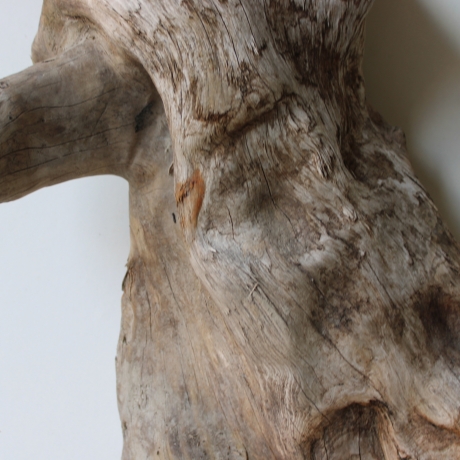 Treibholz Schwemmholz Driftwood 1 XL  Skulptur  48 cm 